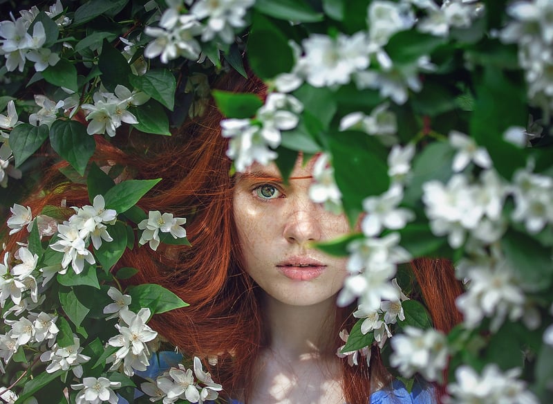 Whispering Willow Vine