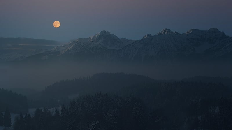 Moon Garden